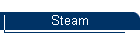 Steam