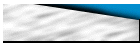 Search This Site